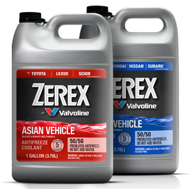 zerex asian